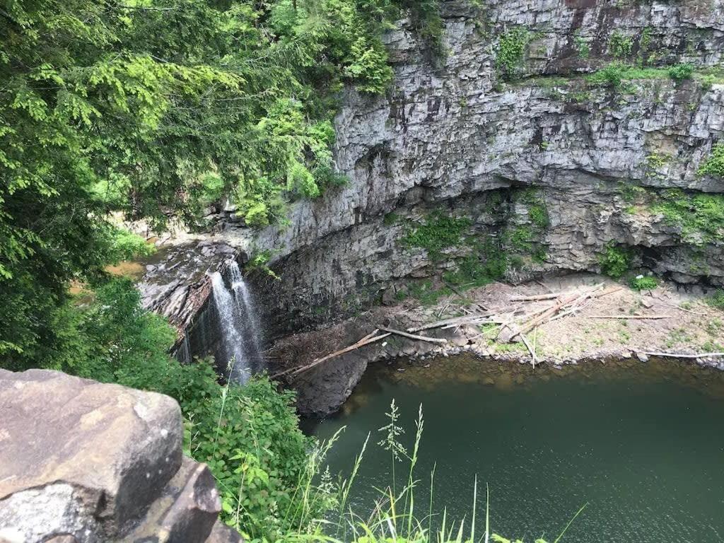 Tn State Parks Open! Hikes, Waterfalls, Firepits! Spencer Exterior photo